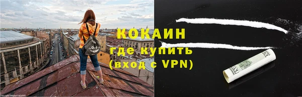 шишки Майский