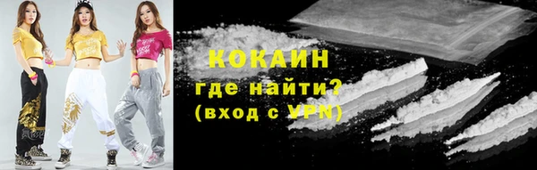 шишки Майский