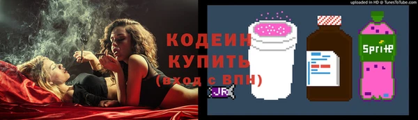 шишки Майский
