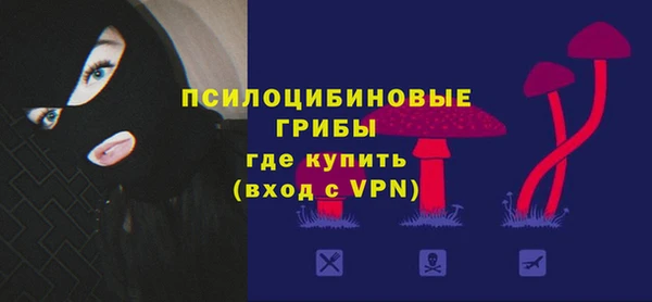 шишки Майский