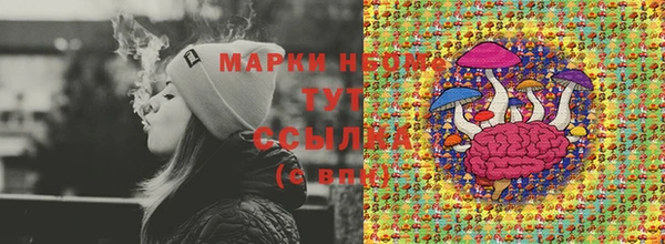 шишки Майский