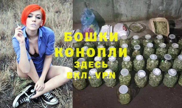 шишки Майский