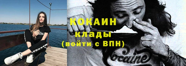 шишки Майский