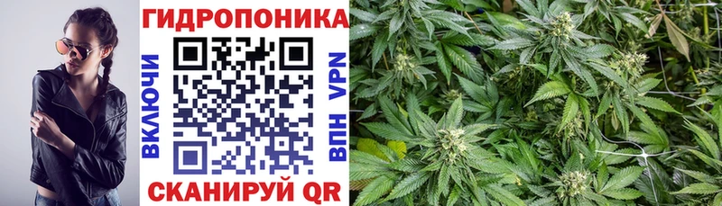 Шишки марихуана гибрид  Дудинка 